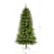 6ft. Pre-Lit Vancouver Fir Natural Look Artificial Christmas Tree, Clear LED Lights